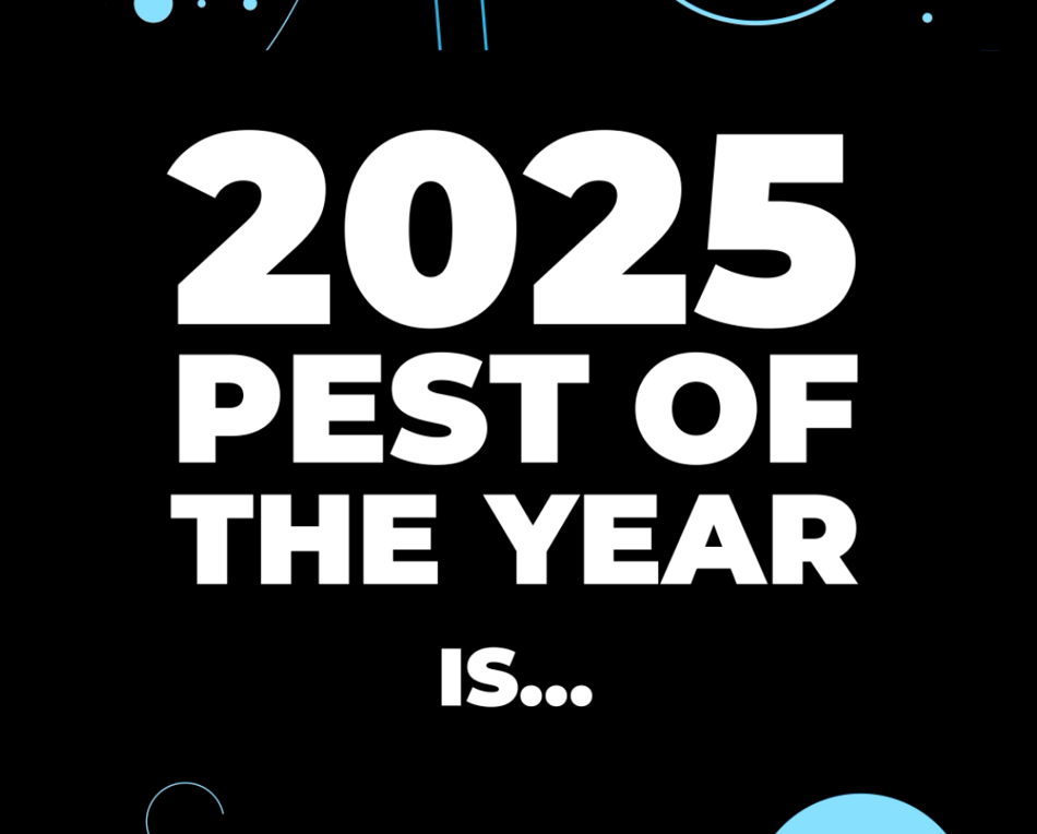 Pest Of The Year POTY 2025