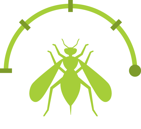 Green Stinging Full