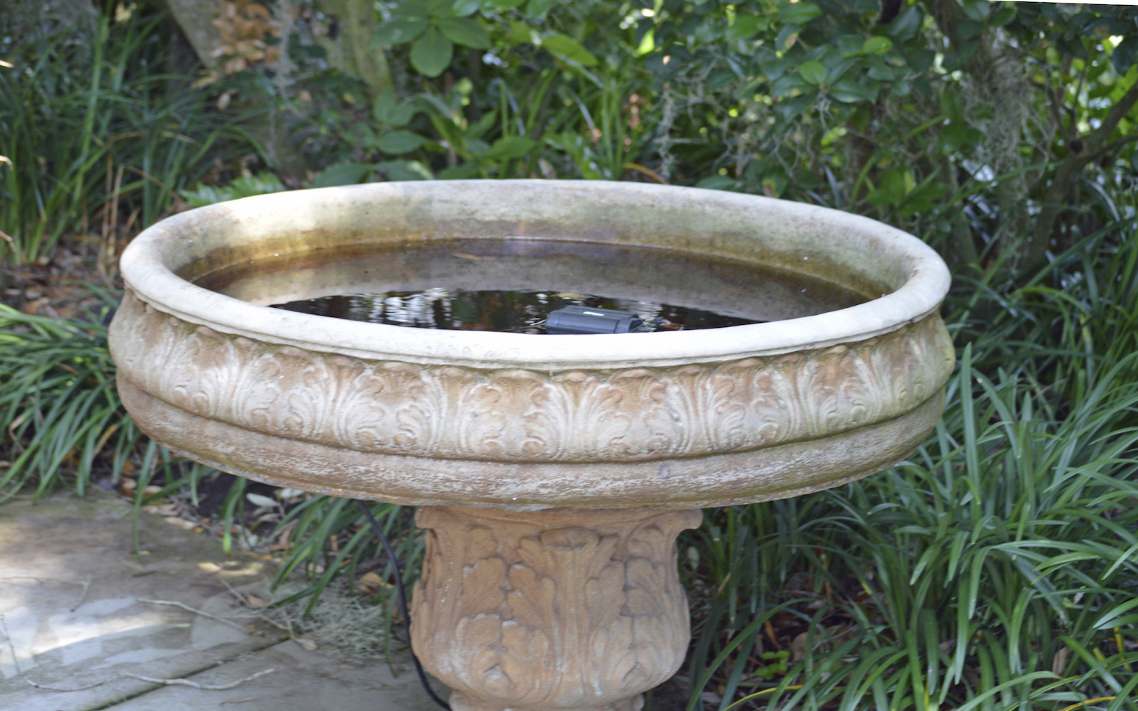 Drain Standing Water