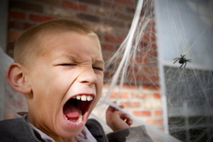 Boy screaming scared of spider and web