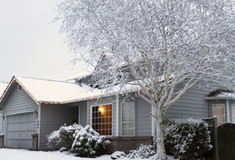 Winter Home-iStock_000004830840Medium 2.jpg