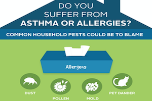 2013 Asthma Infographic Thumbnail.png