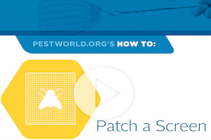 how-to-patch-screen.jpg (1)