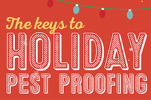 Screen Shot 2016-12-07 at 5.01.46 PM.png