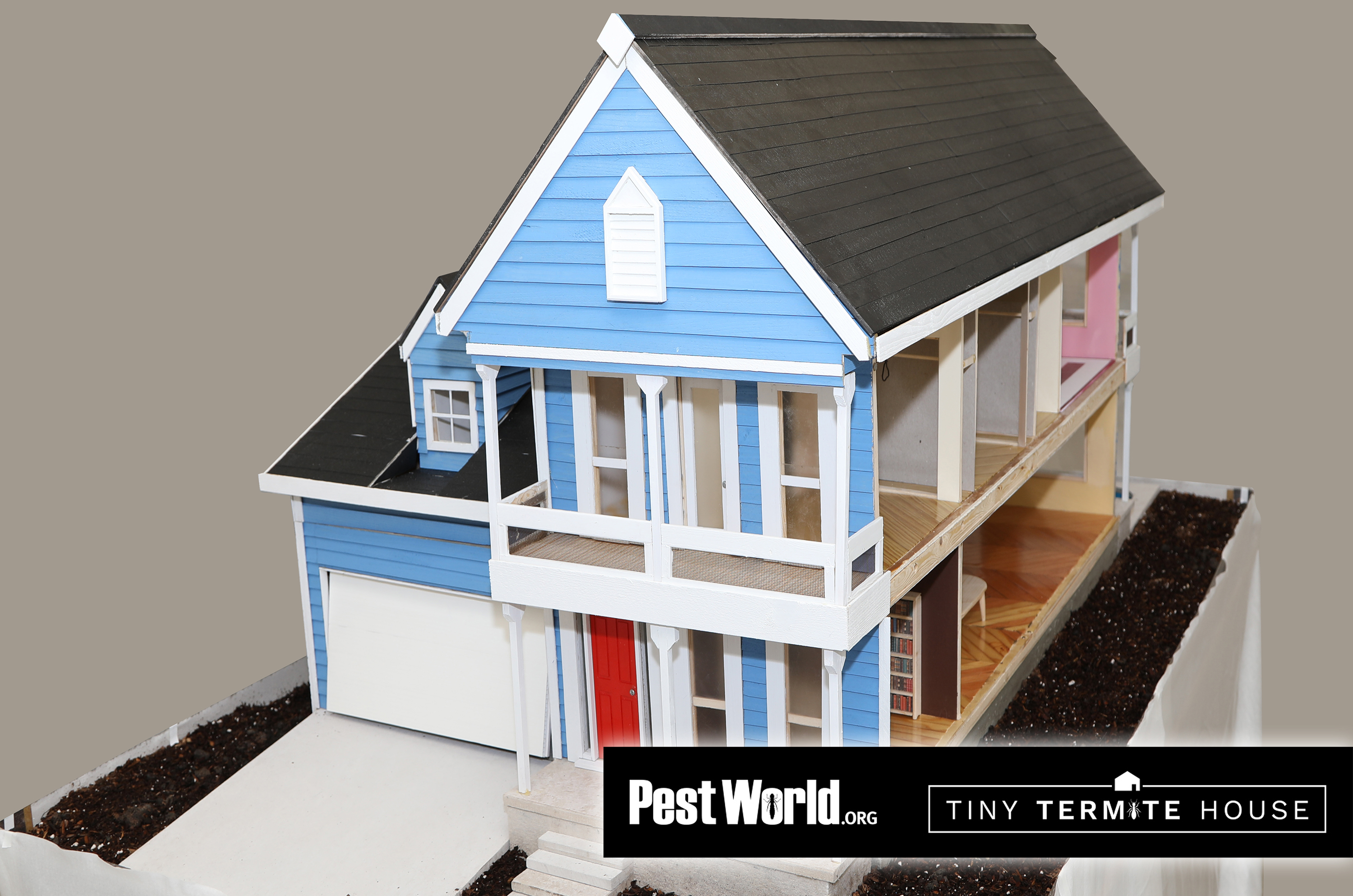Tiny-Termite-C-4 house
