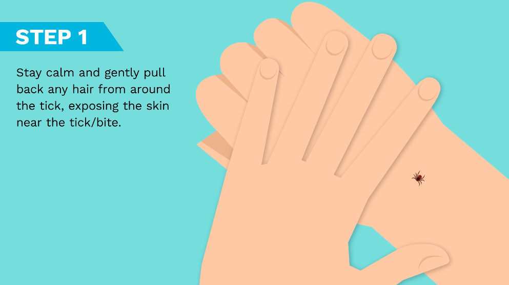 Screen Shot 2018-06-28 at 5.12.10 PM.png