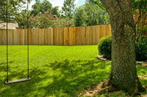 backyard-thumb.png