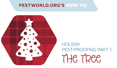 pest-proof-tree-thumbnail.png