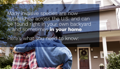 invasive species news video thumbnail.png