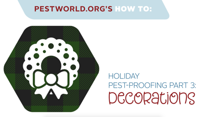 holiday-how to- video-decorations-thumbnail.png