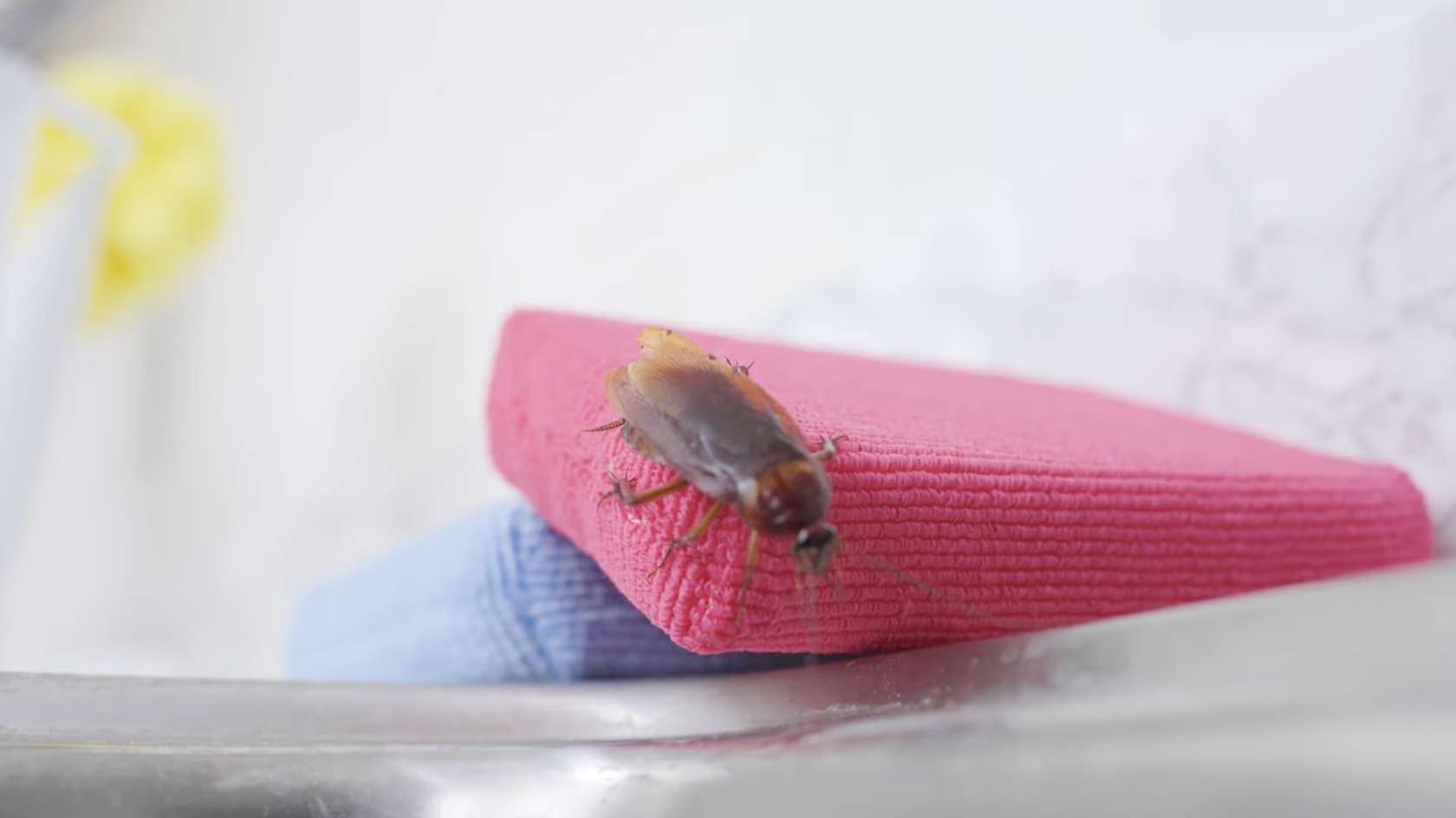 Screen Shot 2022-01-27 at 10.03.18 AM.png