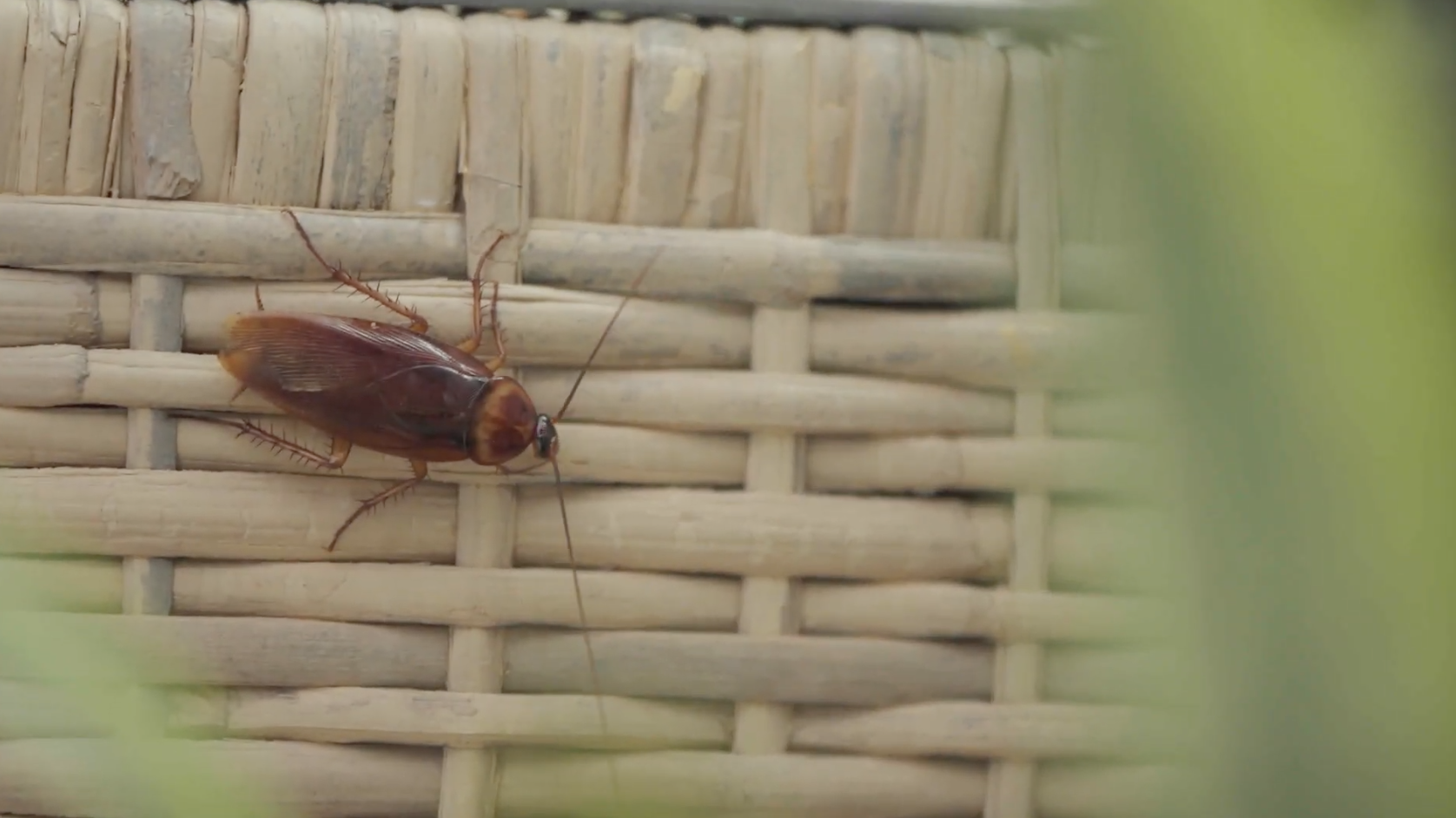 Screen Shot 2022-01-27 at 10.05.47 AM.png