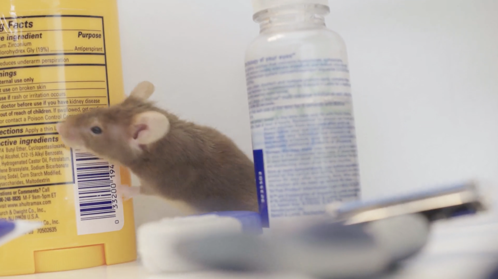 Screen Shot 2022 02 15 At 1.49.23 PM