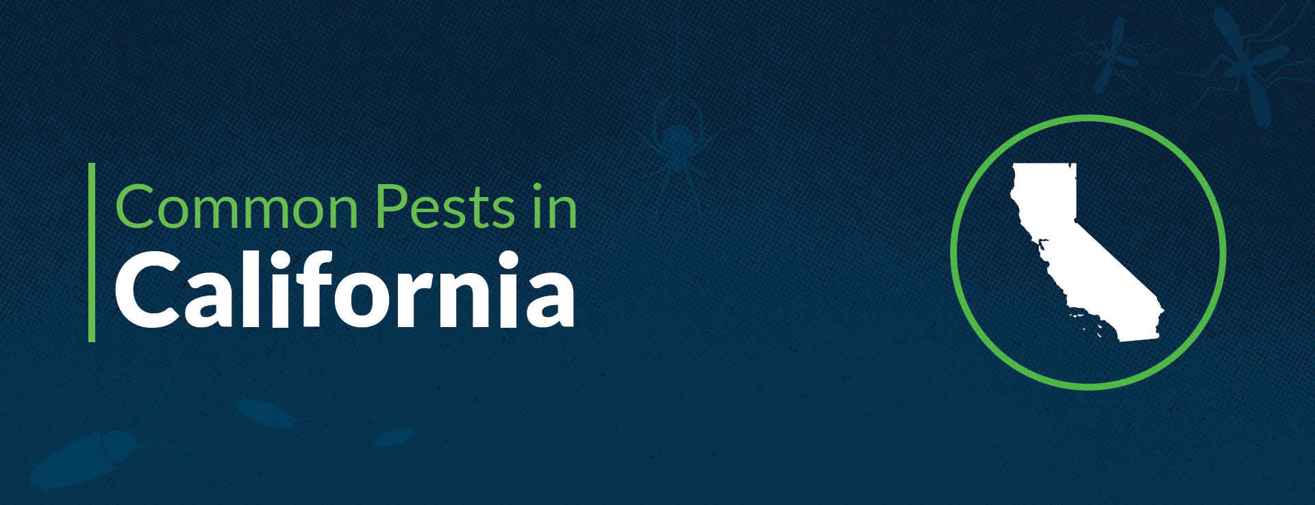 PPMA Common Pests By State California