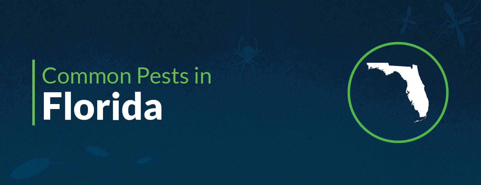 PPMA Common Pests By State Florida