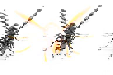 Shutterstock 1581387442