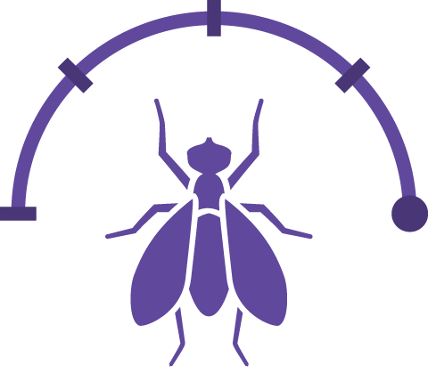 Purple Fly Full