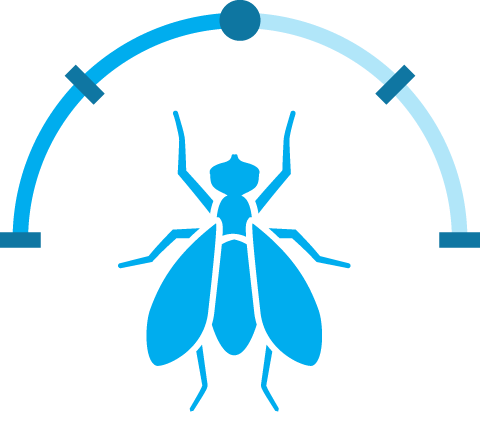 Blue Fly Half