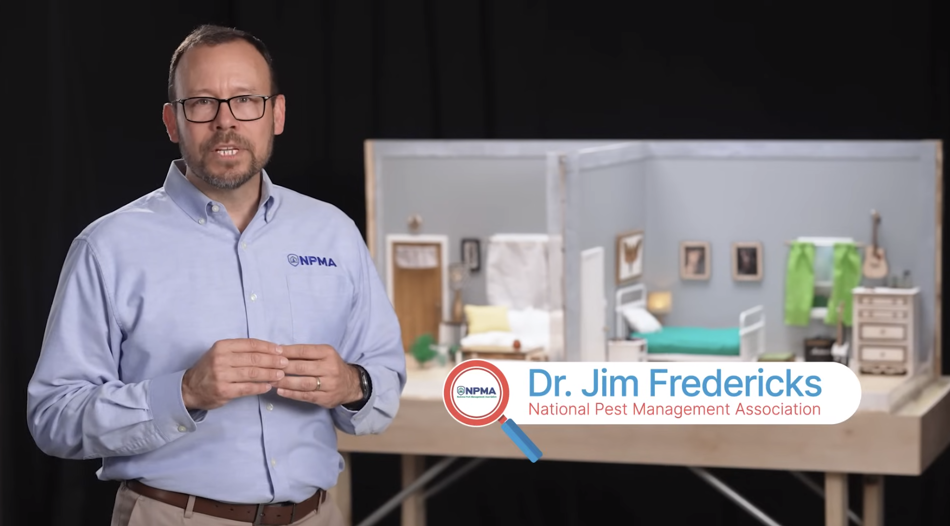 Screenshot 2025 06 17 At 11.15.29 AM