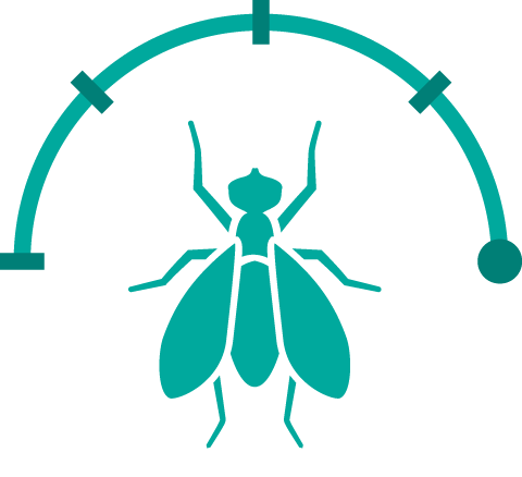 Teal Ant Full