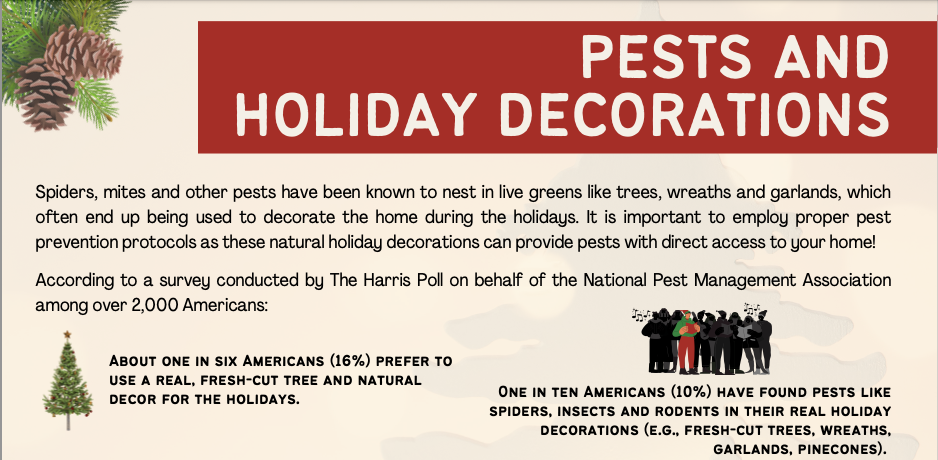 Screenshot 2023 11 08 At 12.35.27 PM