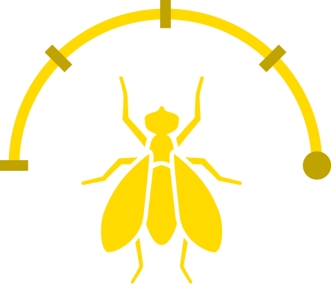 Yellow Fly Full