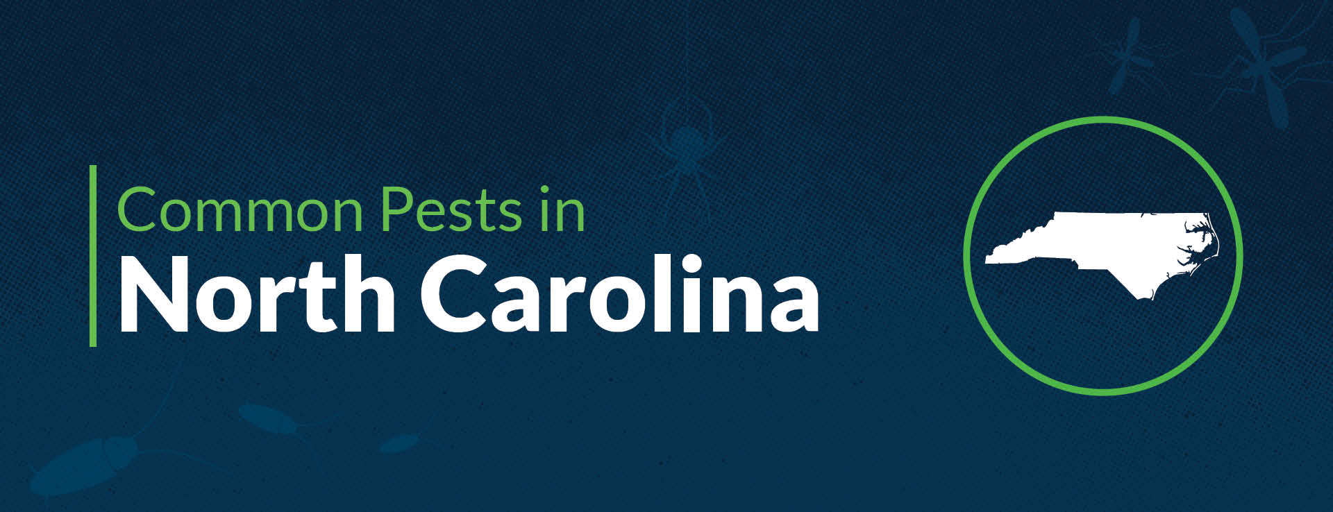 PPMA Common Pests By State North Carolina