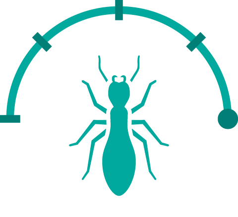 Teal Termite Full