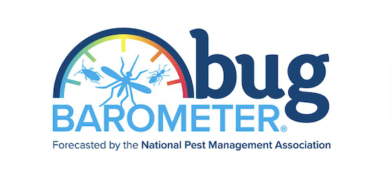 Screenshot 2023 11 08 At 12.40.18 PM