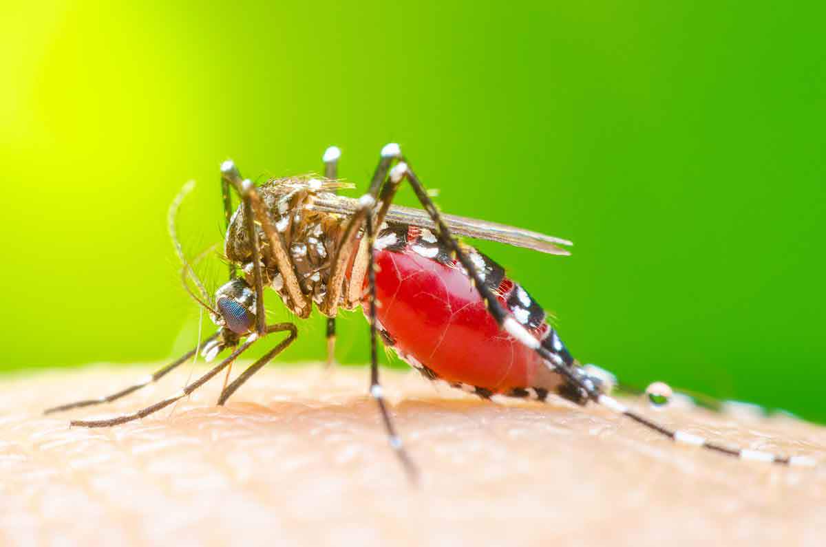 Shutterstock 725689489