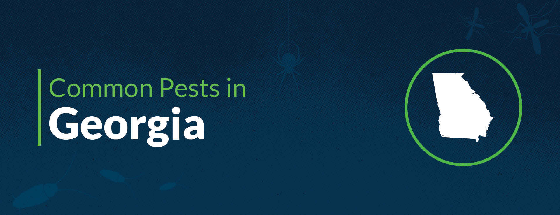 PPMA Common Pests By State Georgia