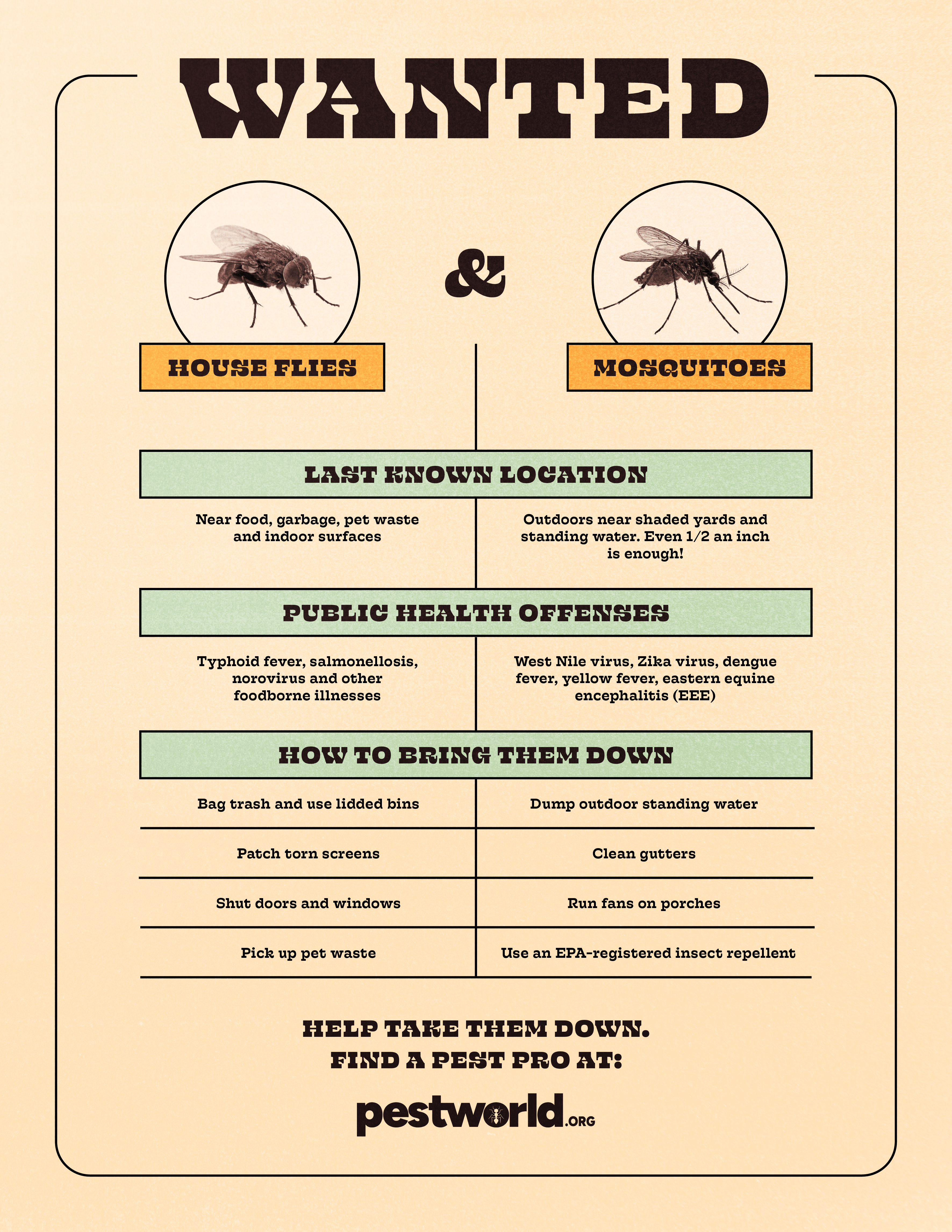 NPMA_House Flies_vs_Mosquitoes Infographic_Digital_OnePager.jpg