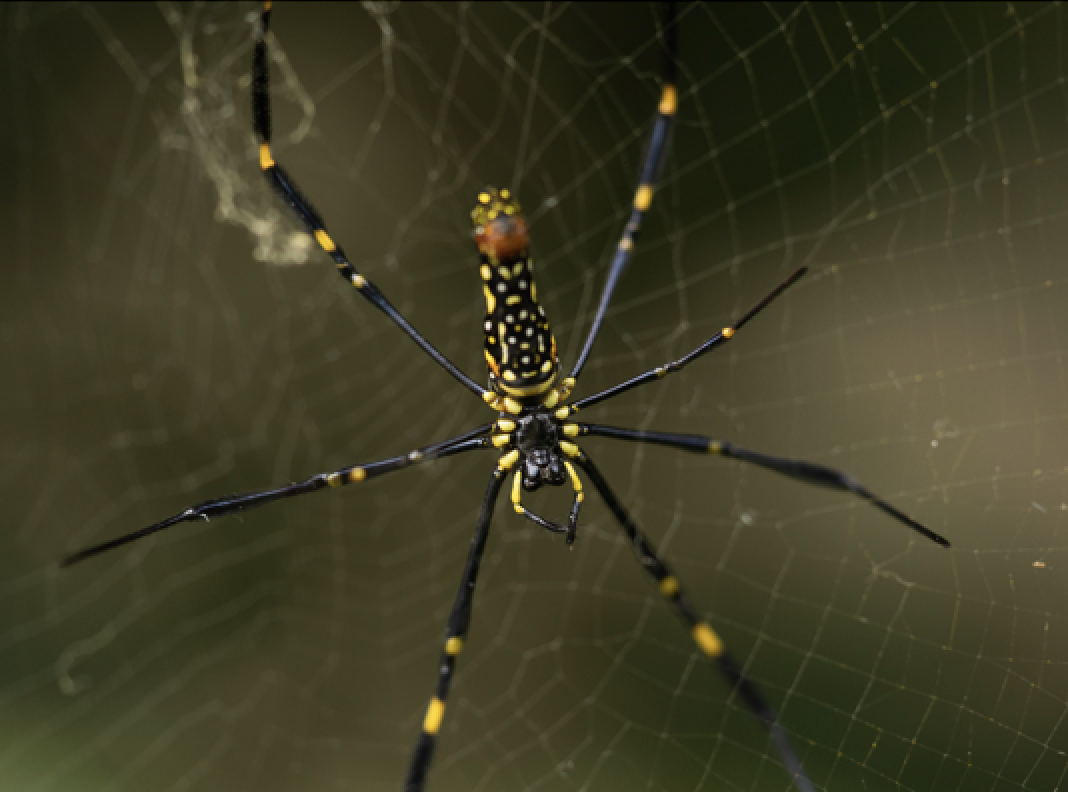 Screenshot 2024 07 11 At 9.48.57 PM