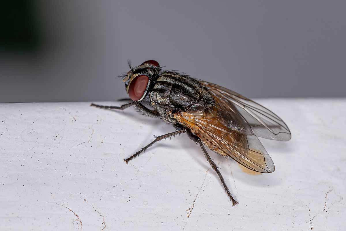 Shutterstock 2055157793